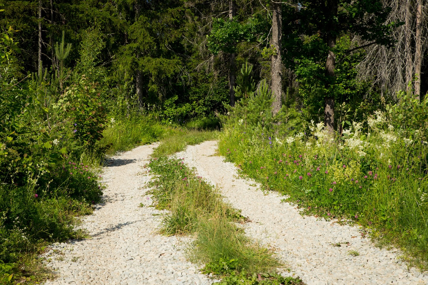 Kõrvetaguse lõkkekoht