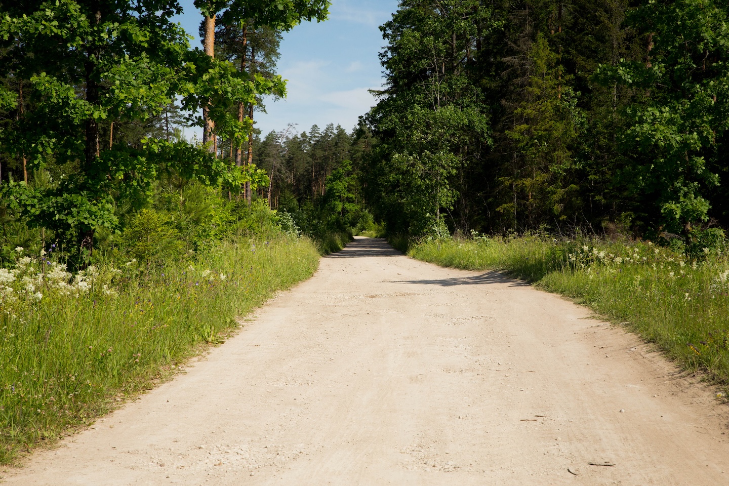 Kõrvetaguse lõkkekoht
