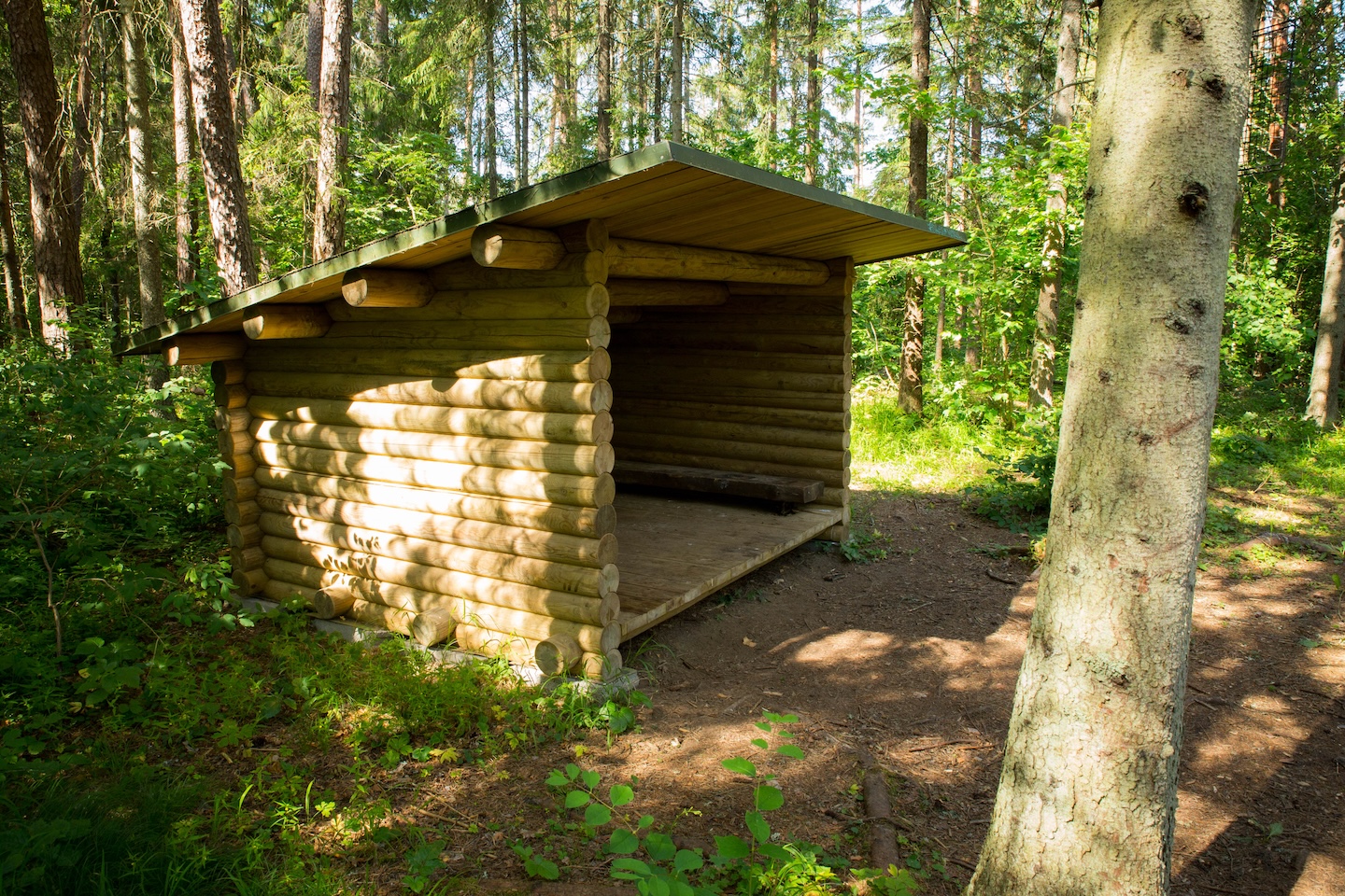 Kõrvetaguse lõkkekoht