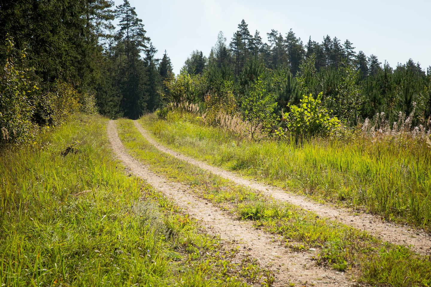Koseveski rattarada (20 km)