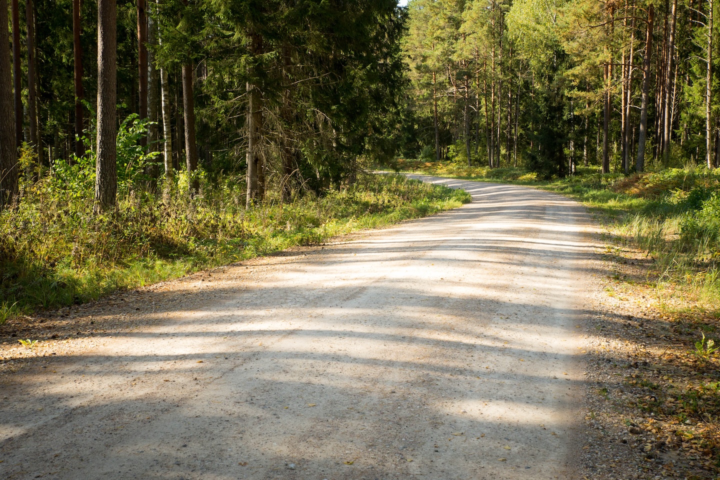 Koseveski rattarada (20 km)