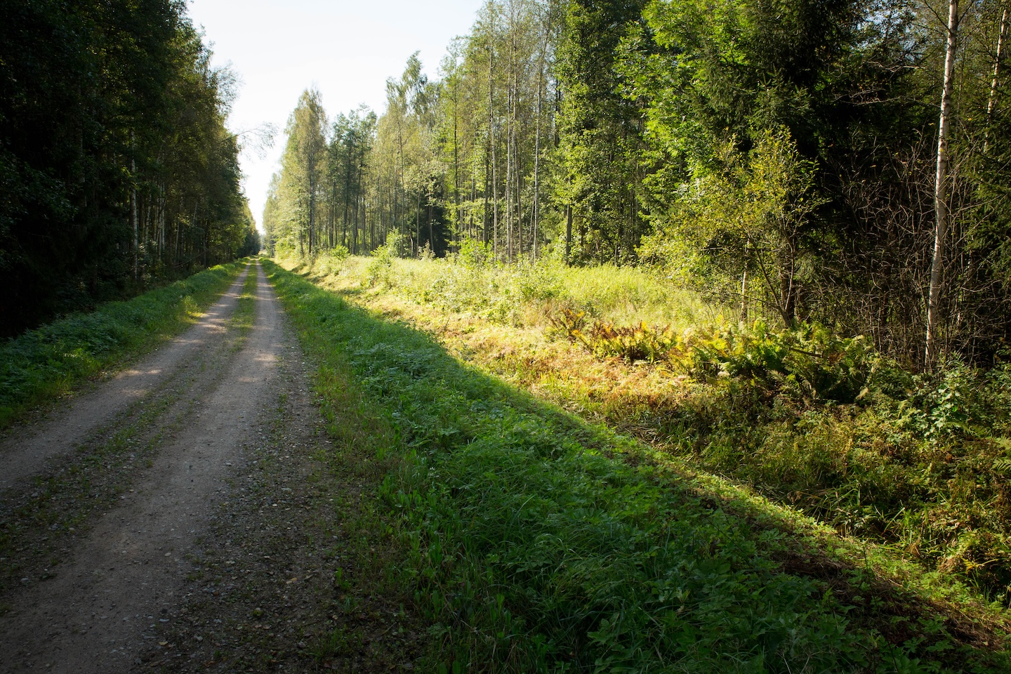 Koseveski rattarada (20 km)