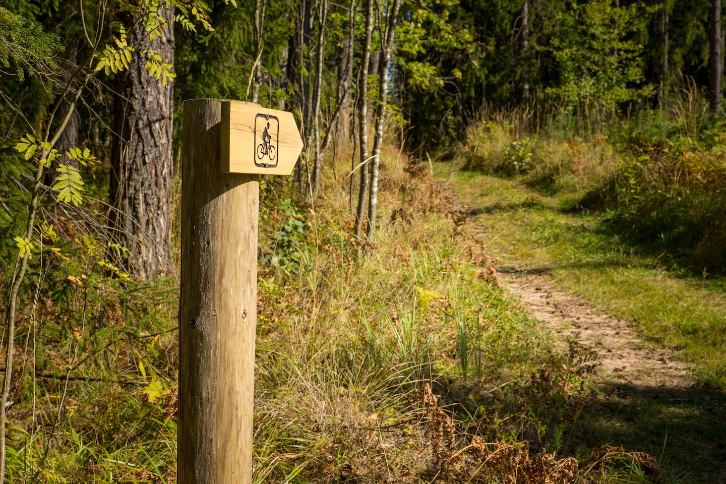 Koseveski rattarada (20 km)