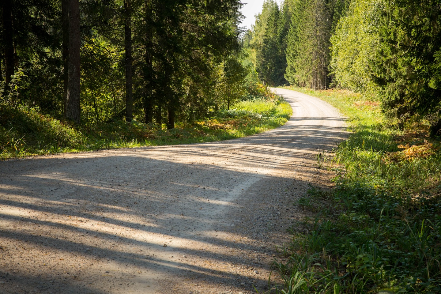 Koseveski rattarada (20 km)