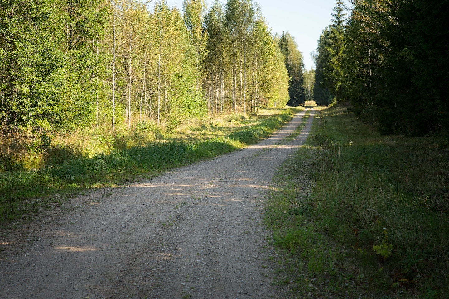 Koseveski rattarada (20 km)