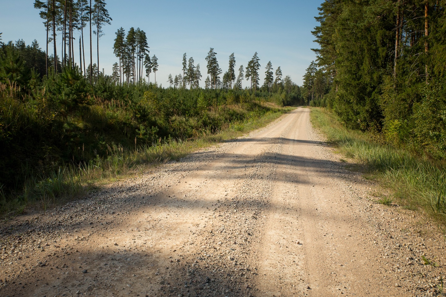Koseveski rattarada (20 km)