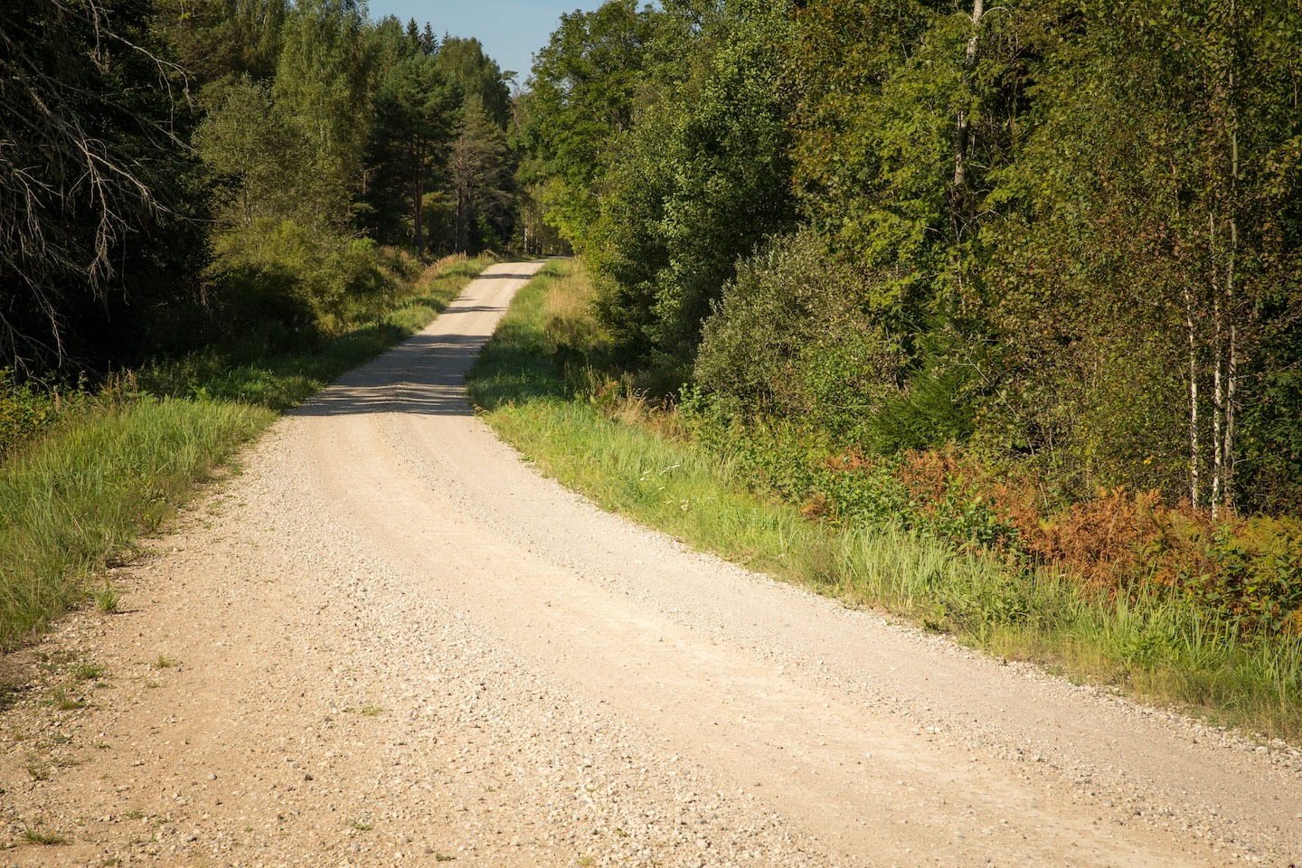 Koseveski rattarada (20 km)
