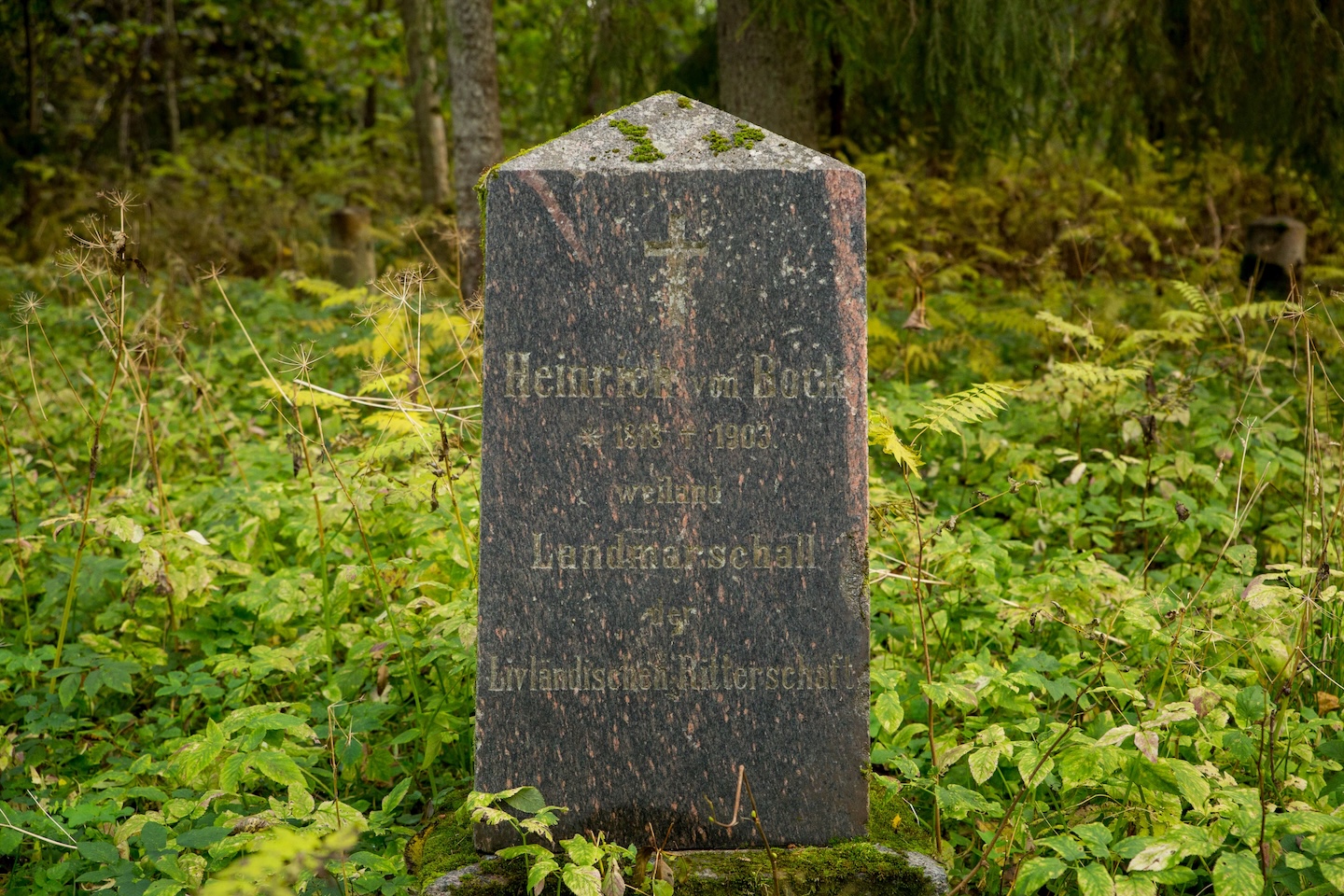 Loodi lehisepuistu matkarada (0,2 km)