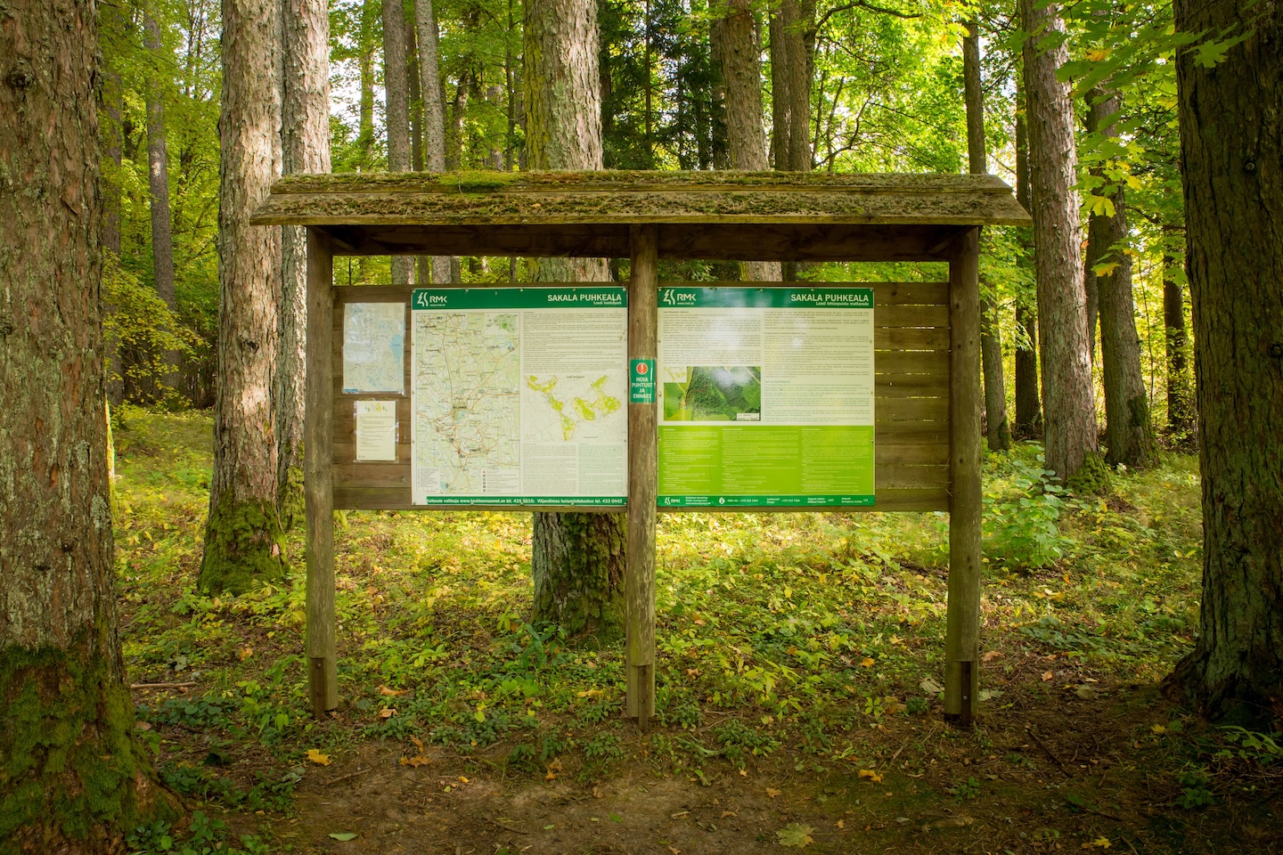 Loodi lehisepuistu matkarada (0,2 km)