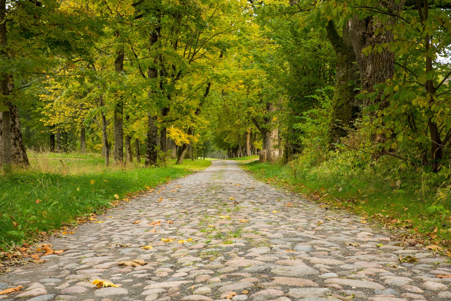 Loodi paisjärve lõkkekohad