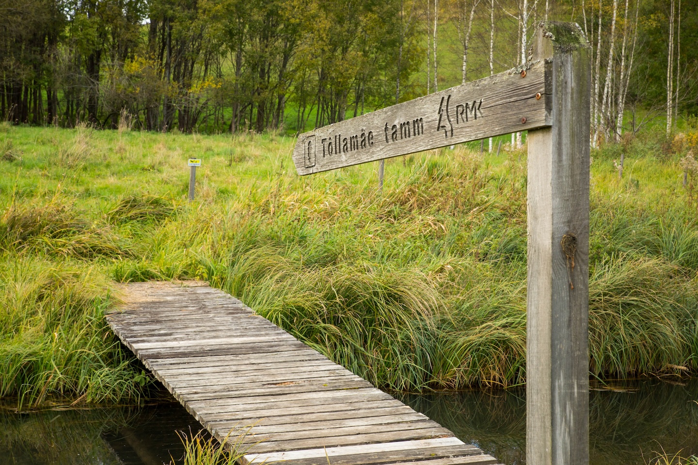 Loodi paisjärve lõkkekohad