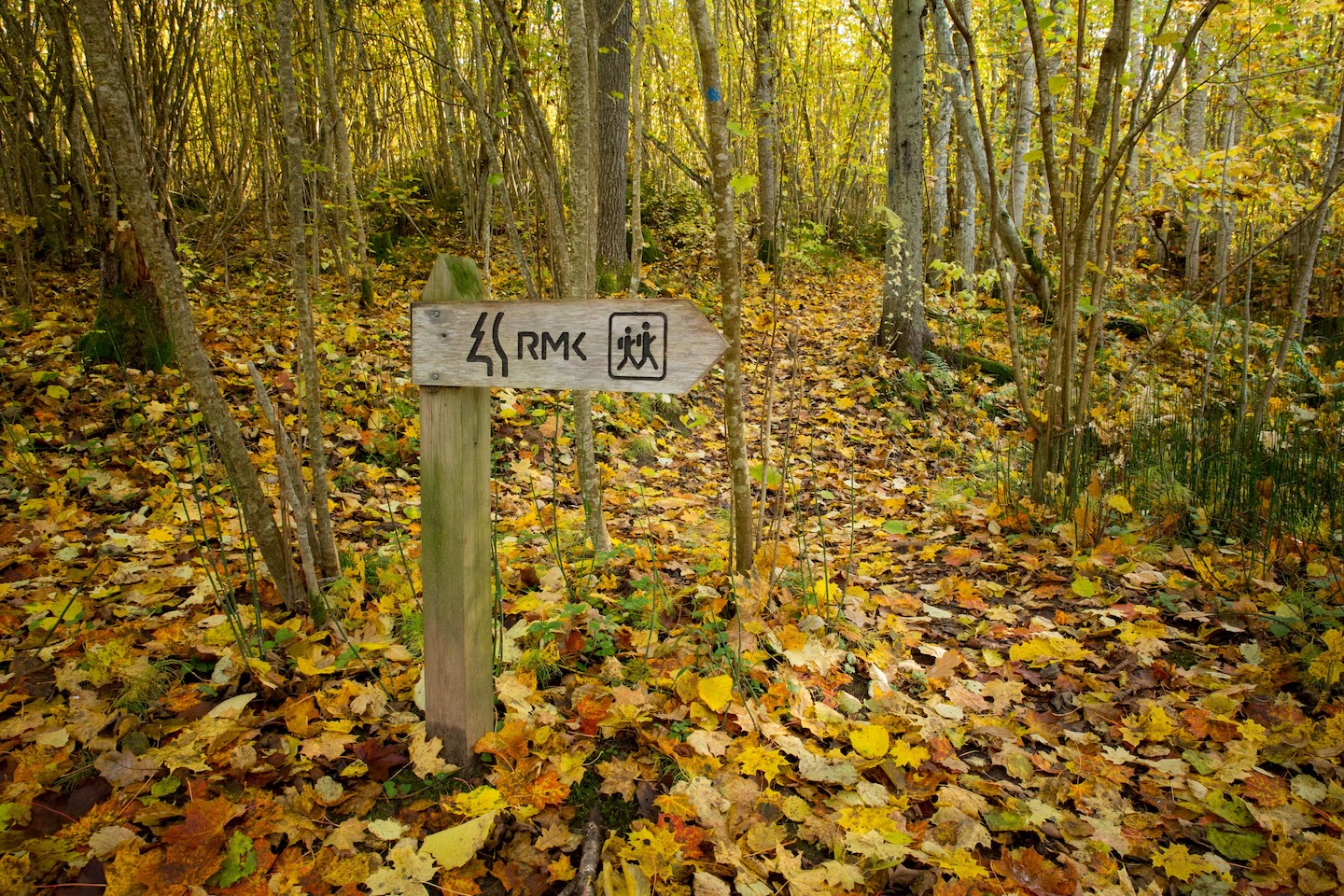 Loodi põrguoru matkarada (2 km)