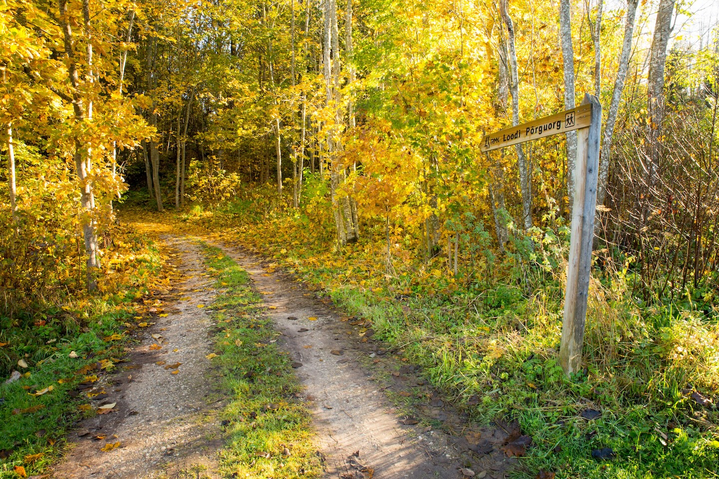 Loodi põrguoru matkarada (2 km)