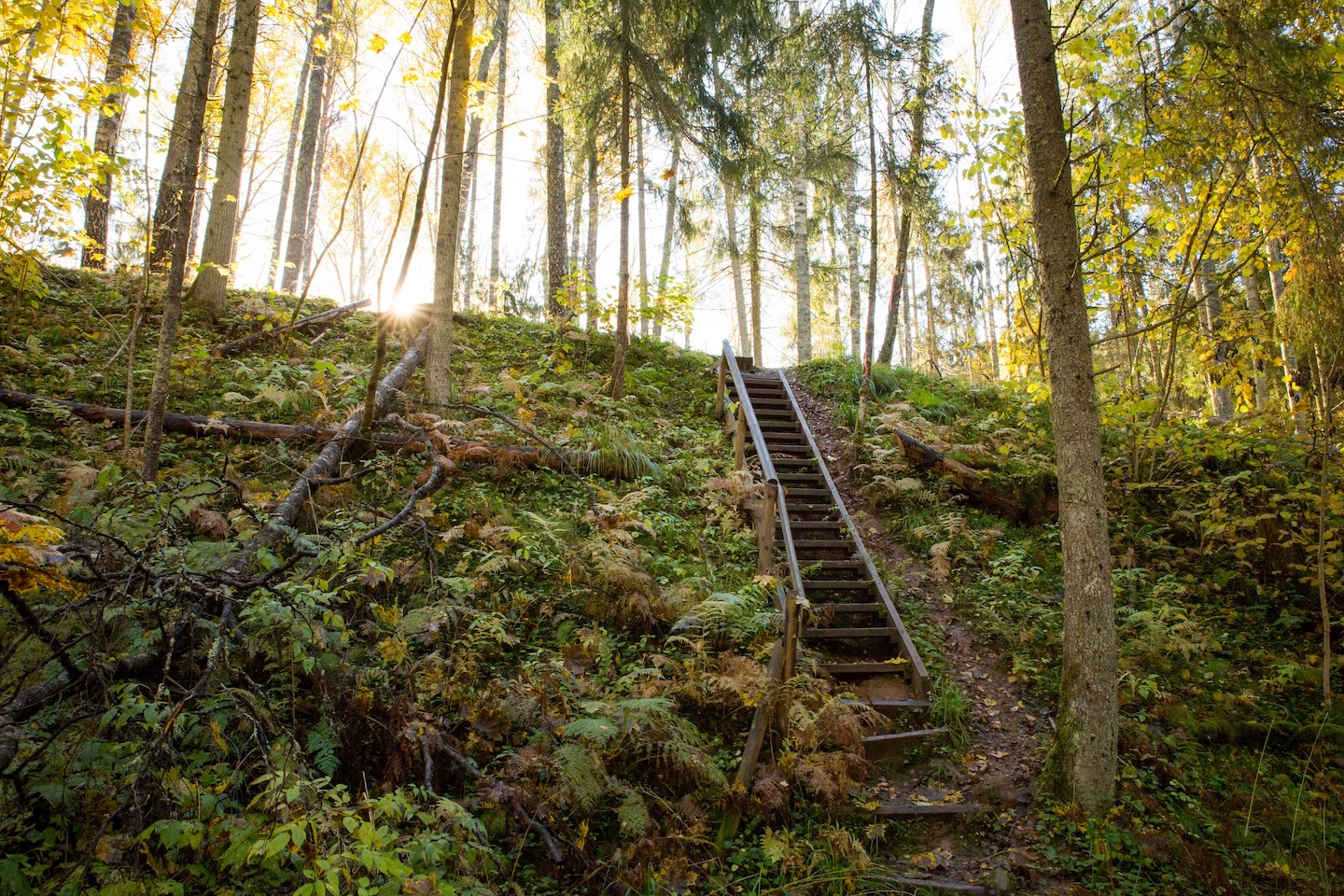 Loodi põrguoru matkarada (2 km)