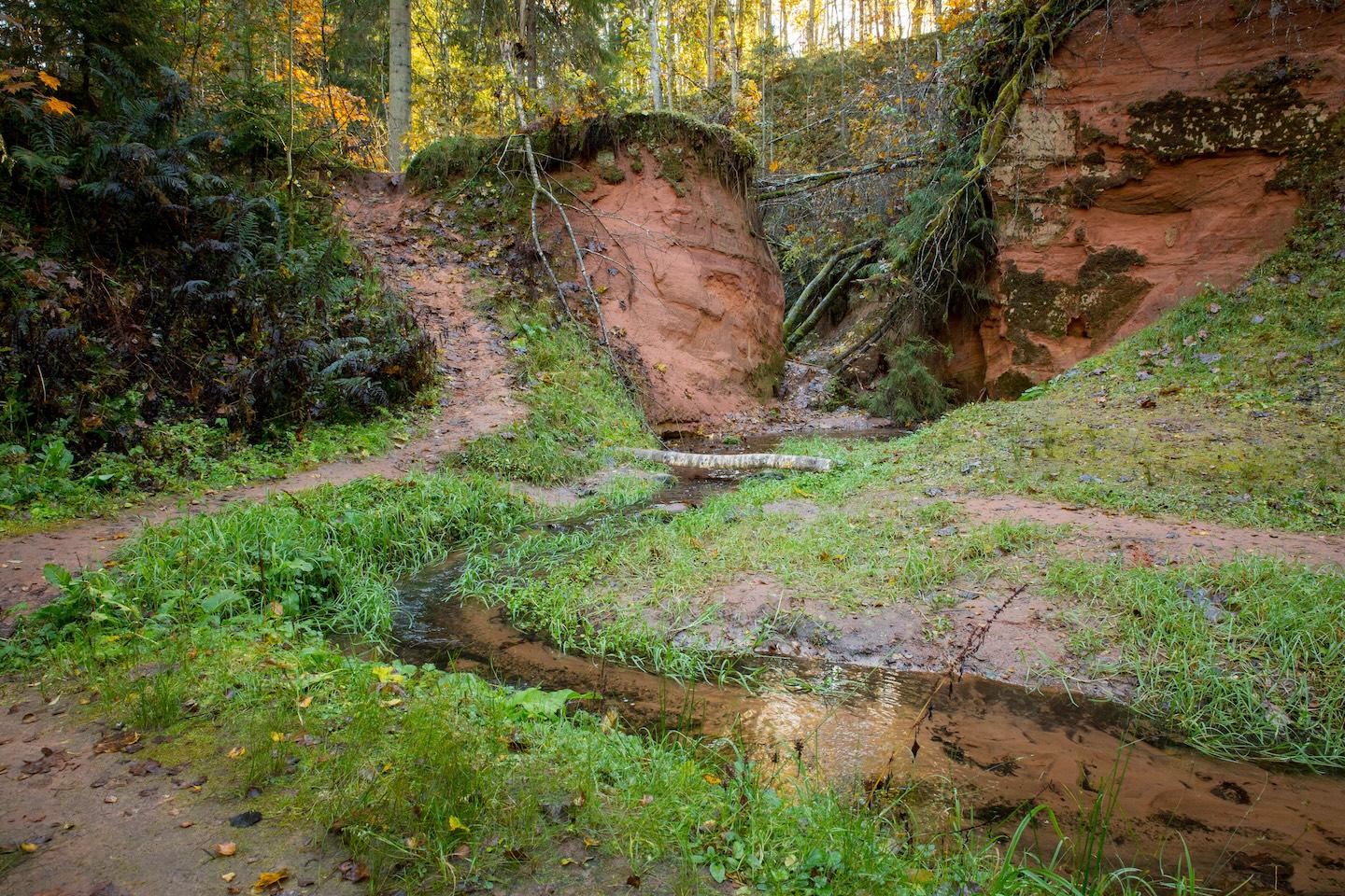 Loodi põrguoru matkarada (2 km)