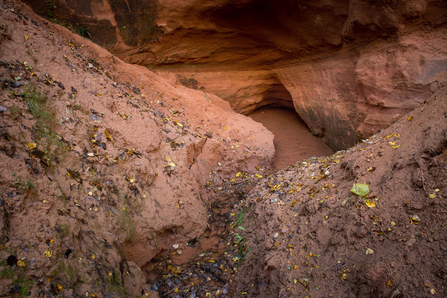 Loodi põrguoru matkarada (2 km)
