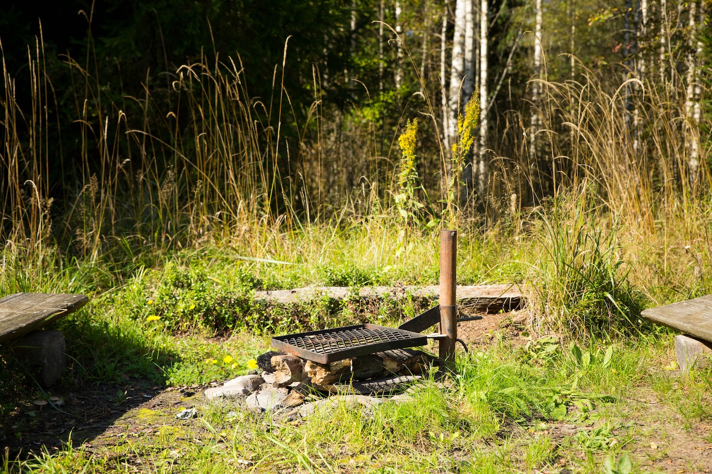 Määrumäe lõkkekoht