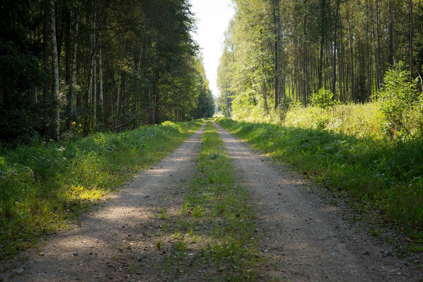 Määrumäe lõkkekoht
