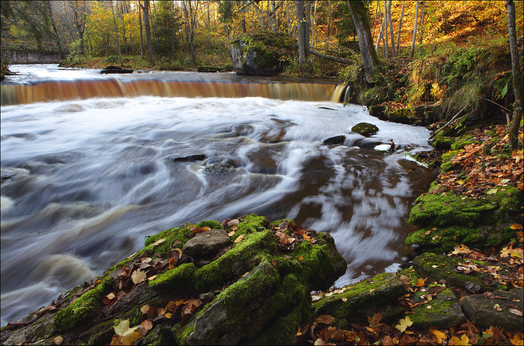 Nõmmeveski-Liiapeksi matkarada (16 km)