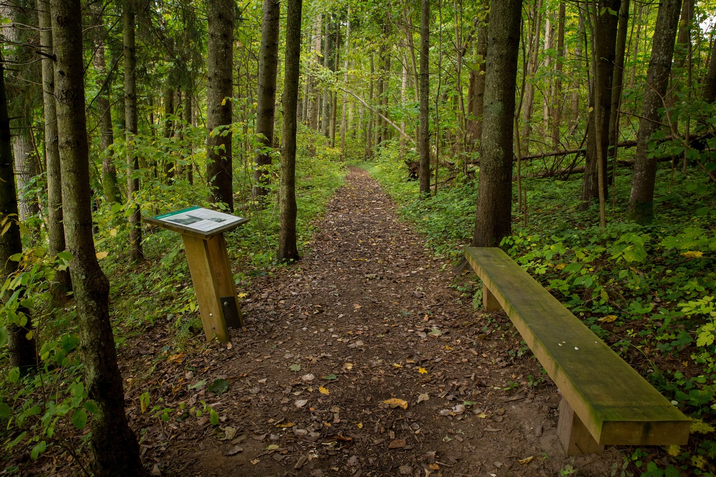 Õisu matkarada (2,5 km)