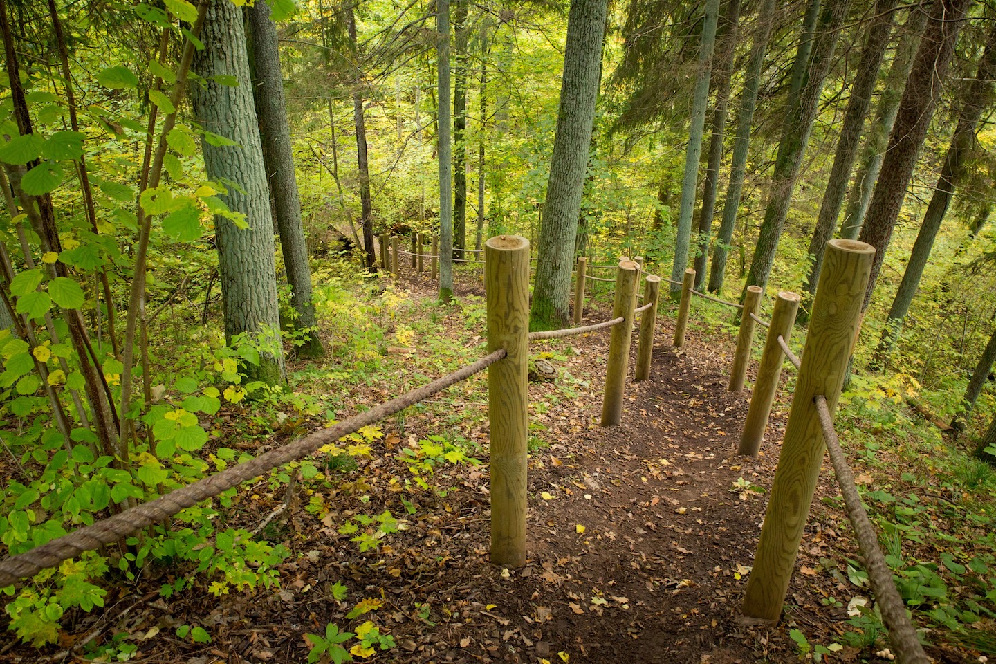 Õisu matkarada (2,5 km)