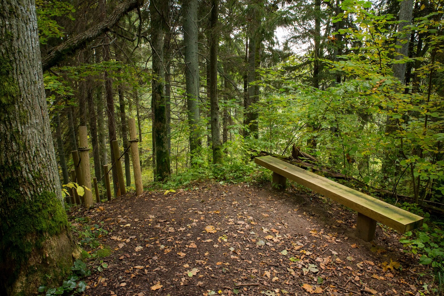 Õisu matkarada (2,5 km)