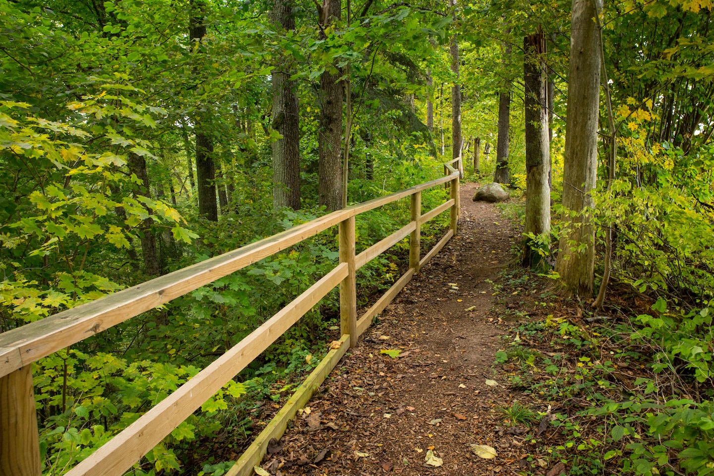 Õisu matkarada (2,5 km)