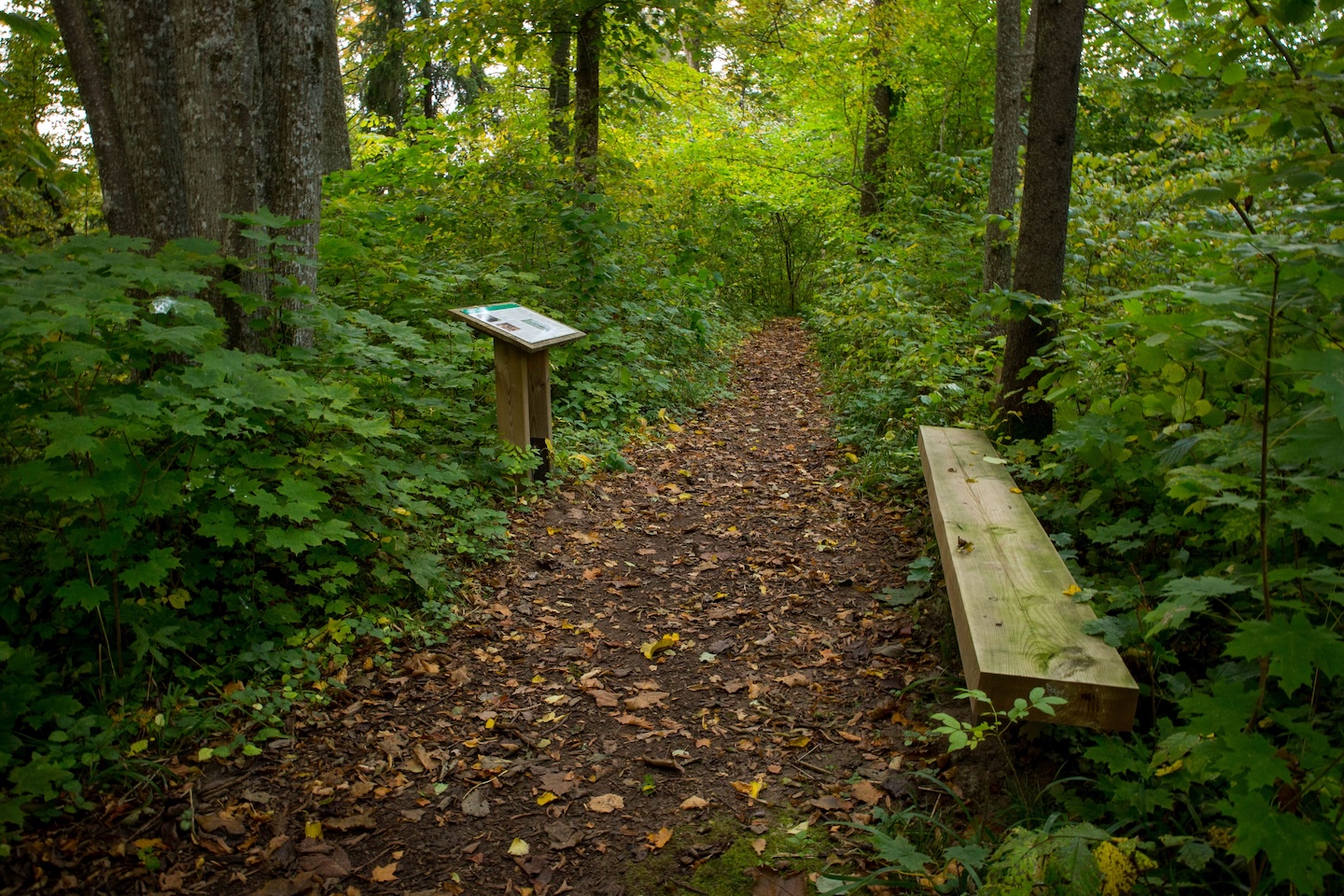 Õisu matkarada (2,5 km)