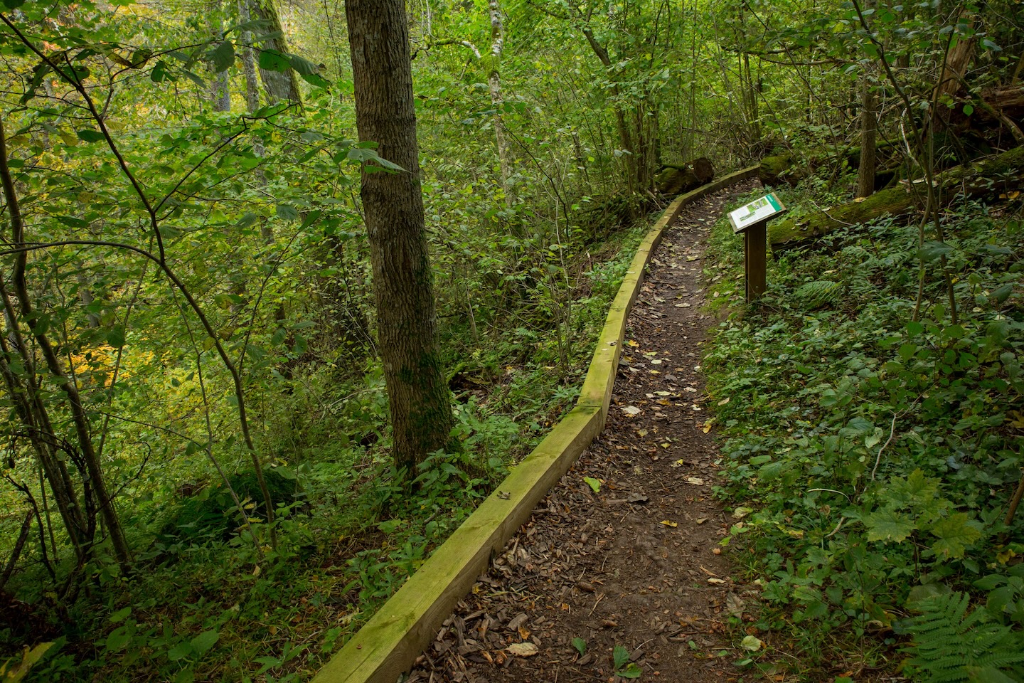 Õisu matkarada (2,5 km)