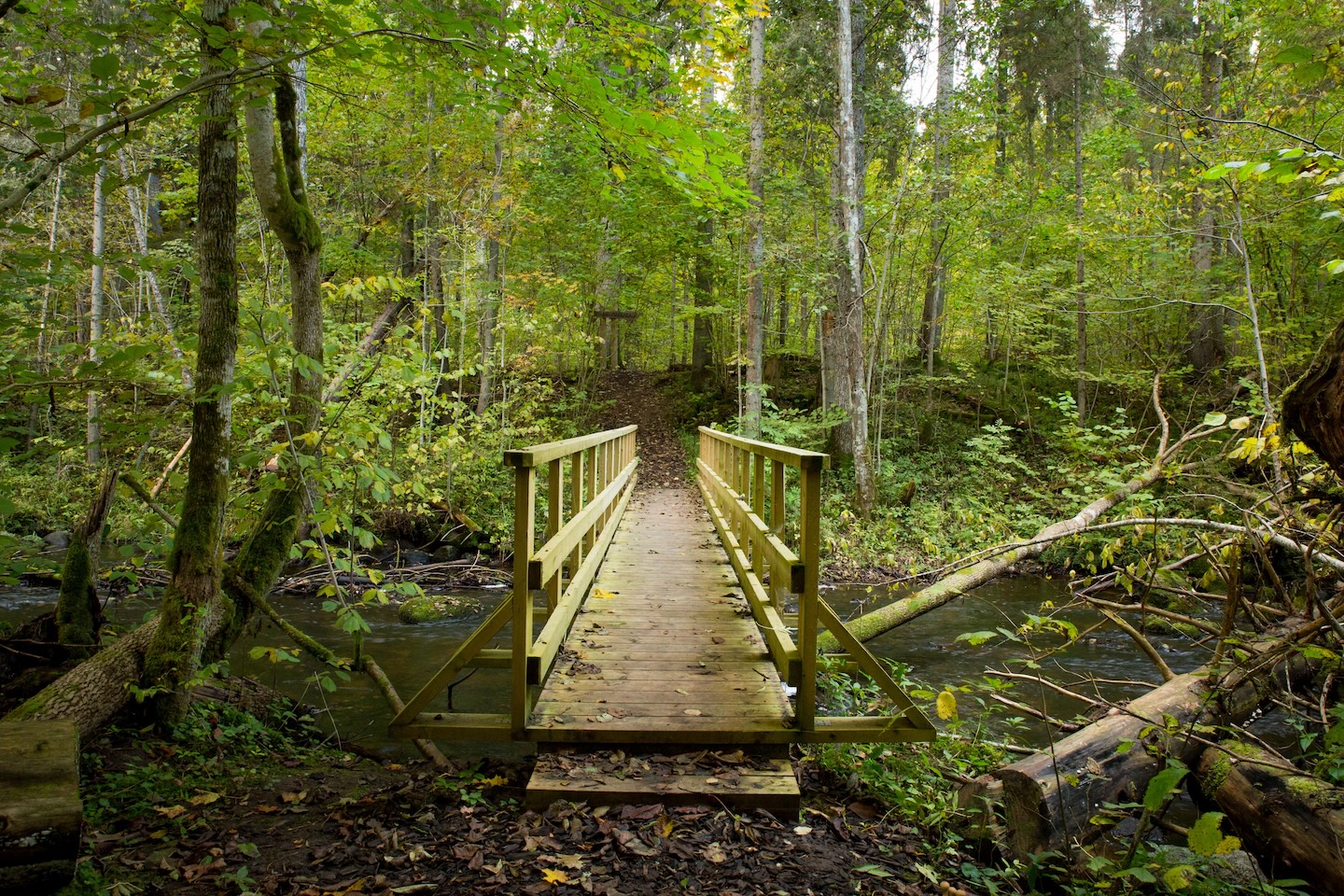 Õisu matkarada (2,5 km)