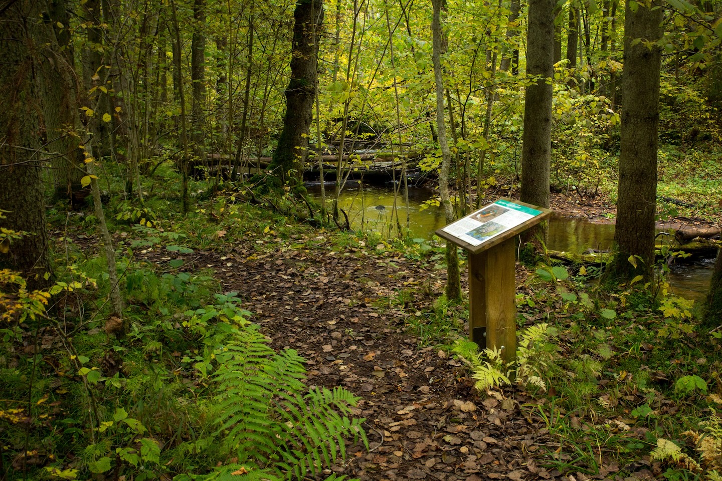 Õisu matkarada (2,5 km)