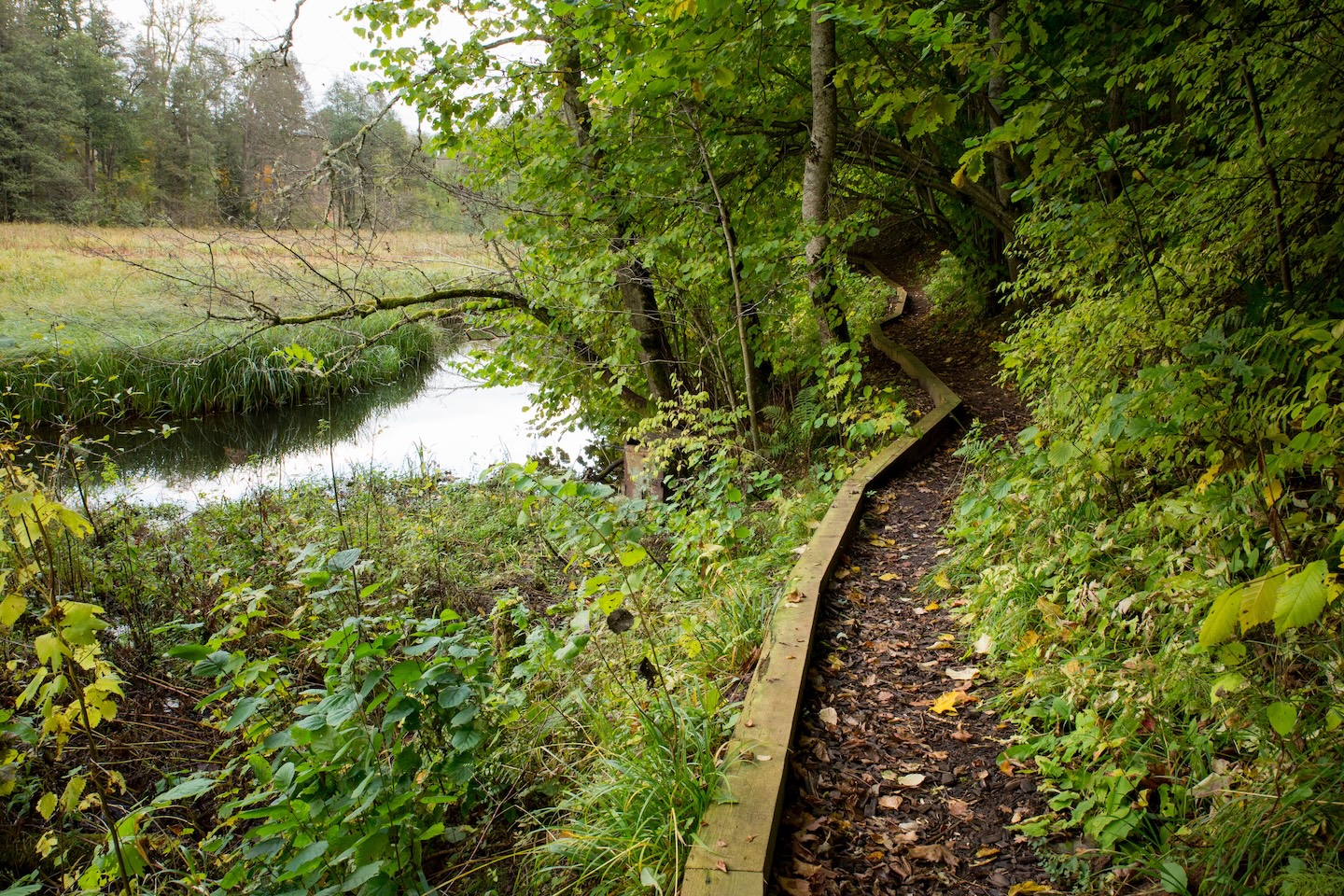 Õisu matkarada (2,5 km)