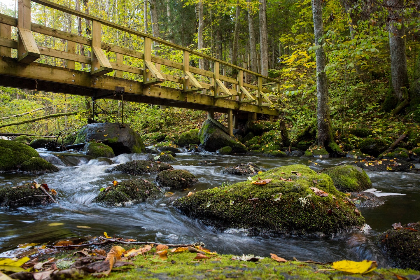 Õisu matkarada (2,5 km)