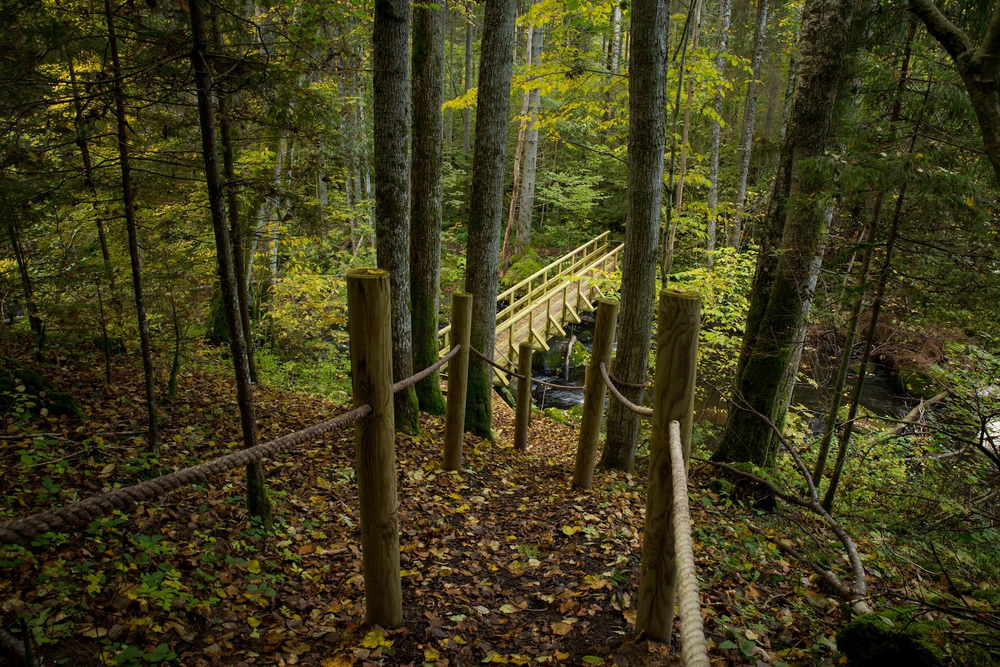 Õisu matkarada (2,5 km)