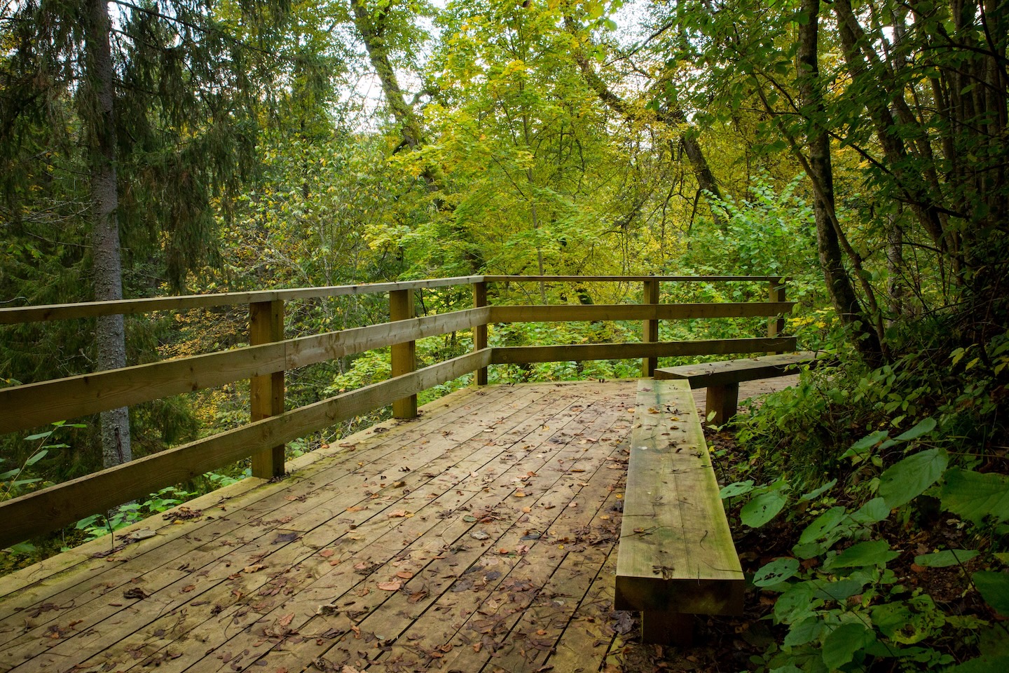 Õisu matkarada (2,5 km)