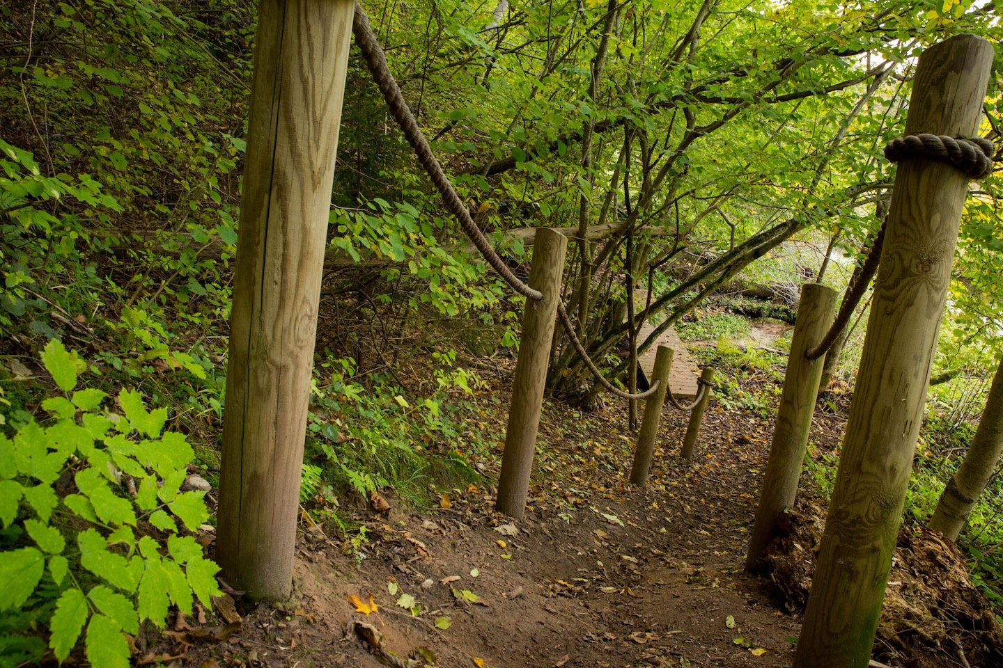 Õisu matkarada (2,5 km)