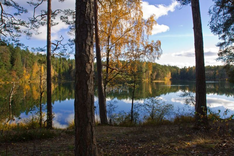 RMK matkatee Oandu-Aegviidu-Ikla 2. lõik Kalmeoja – Aegviidu (38 km)