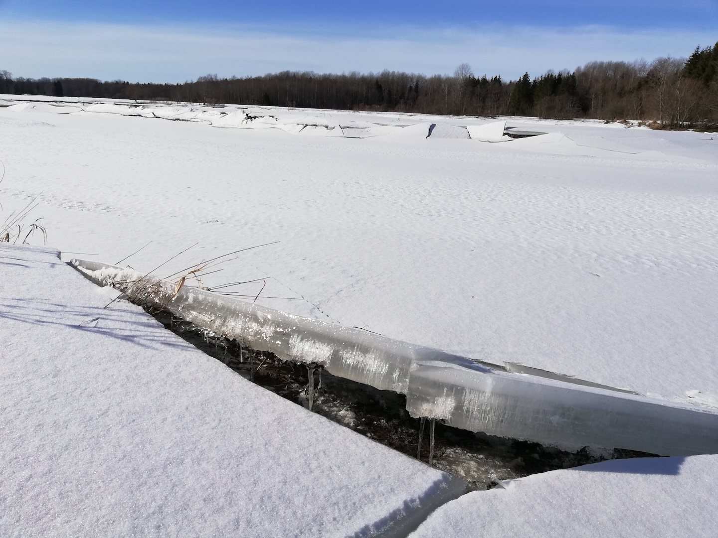 Pedja jõe lõkkekoht