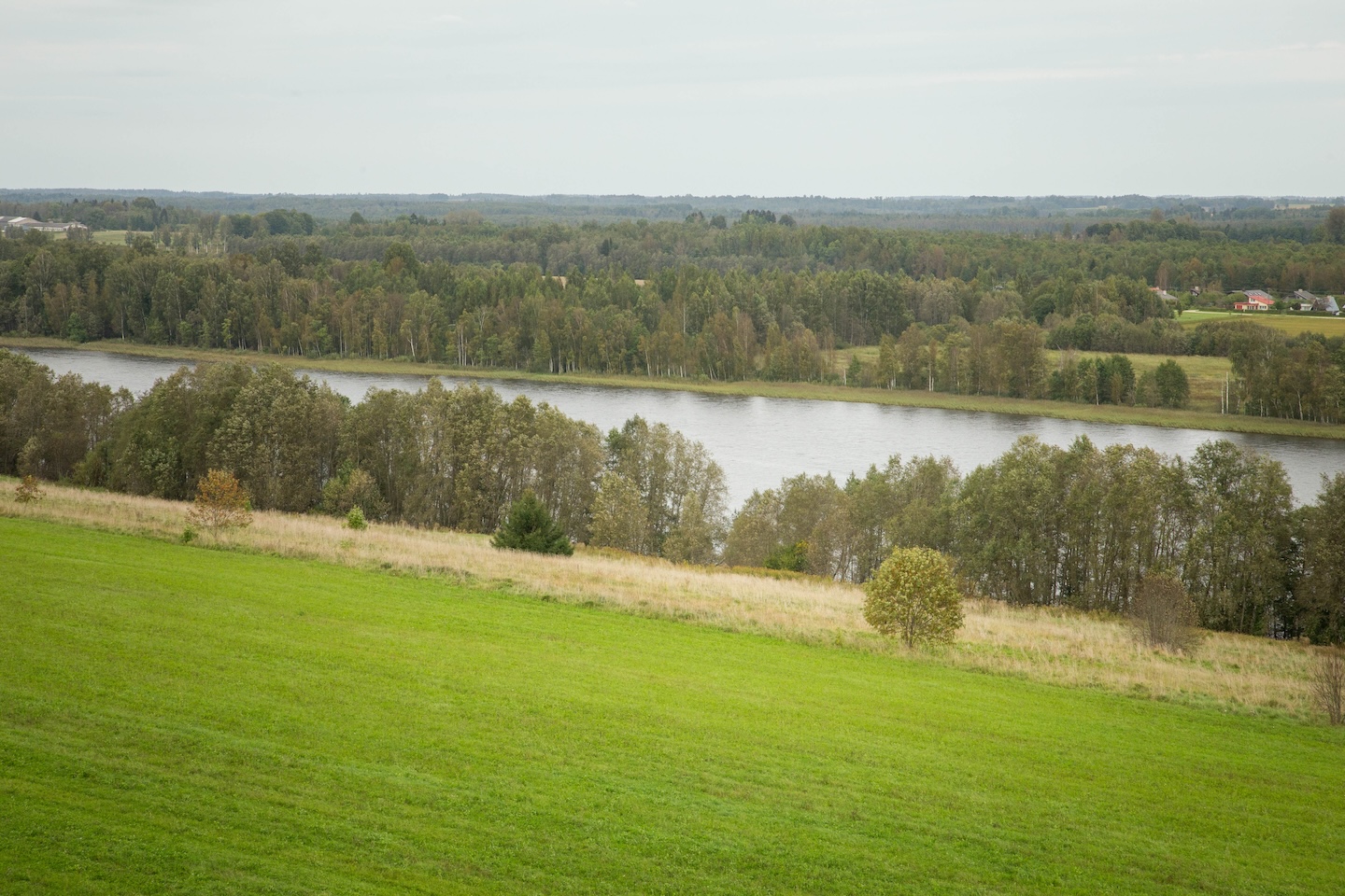 Raigastvere observation tower