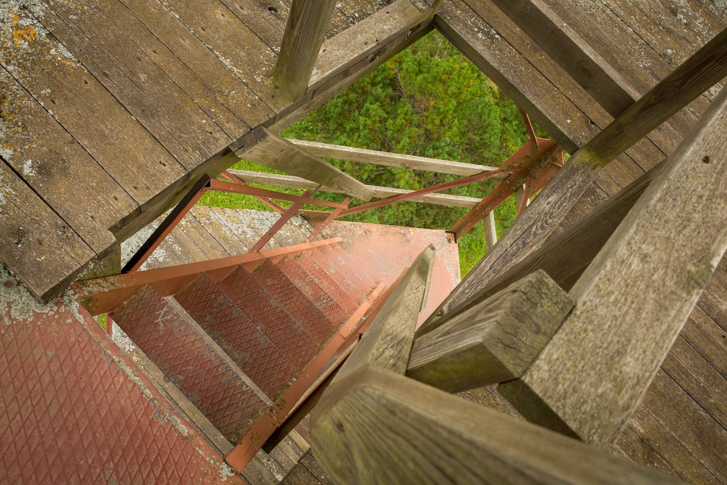 Raigastvere observation tower