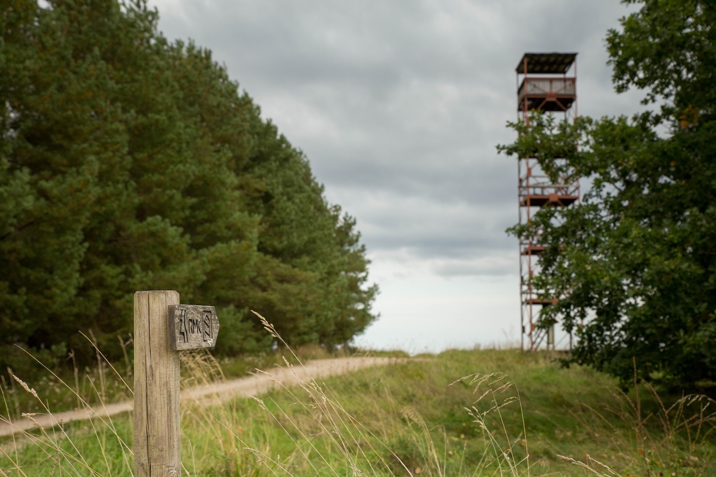 Raigastvere observation tower