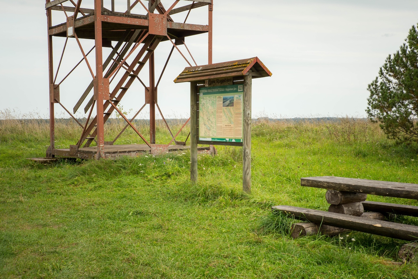 Raigastvere observation tower