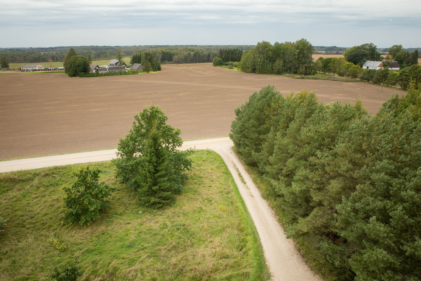 Raigastvere observation tower