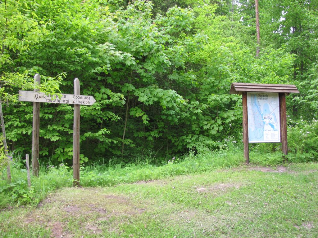 Sangaste metsapargi rada (3 km)