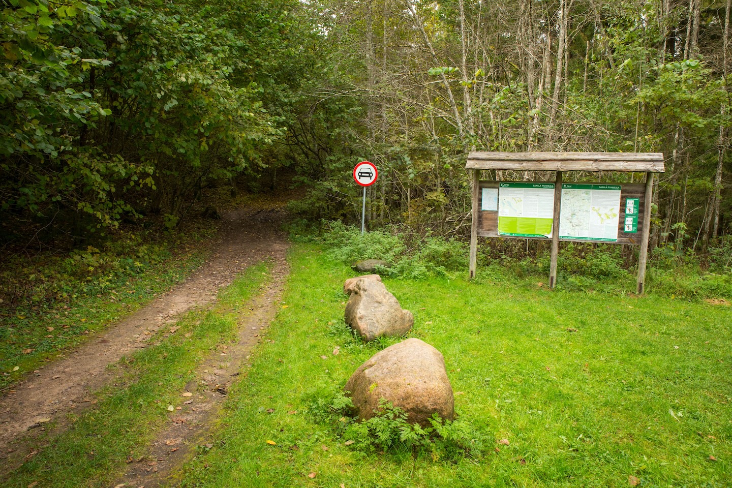 Sinialliku lõkkekoht