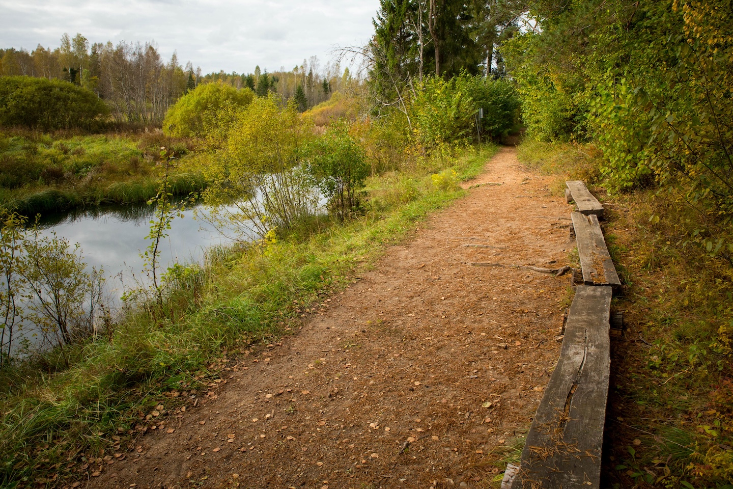 Sinialliku matkarada (1,3 km)