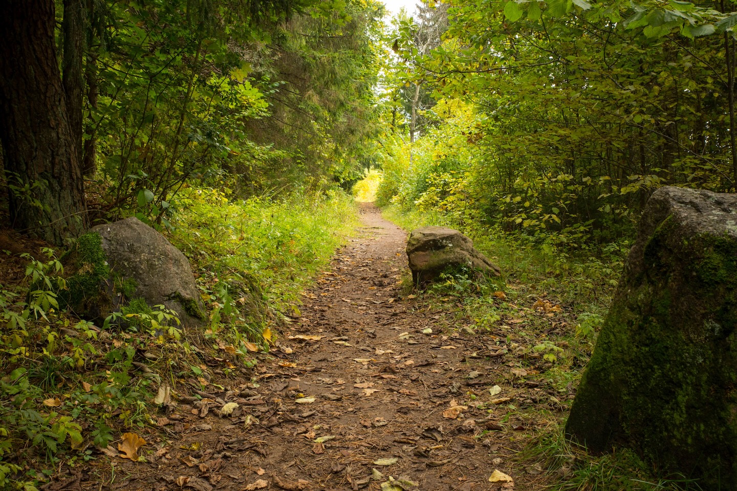 Sinialliku matkarada (1,3 km)