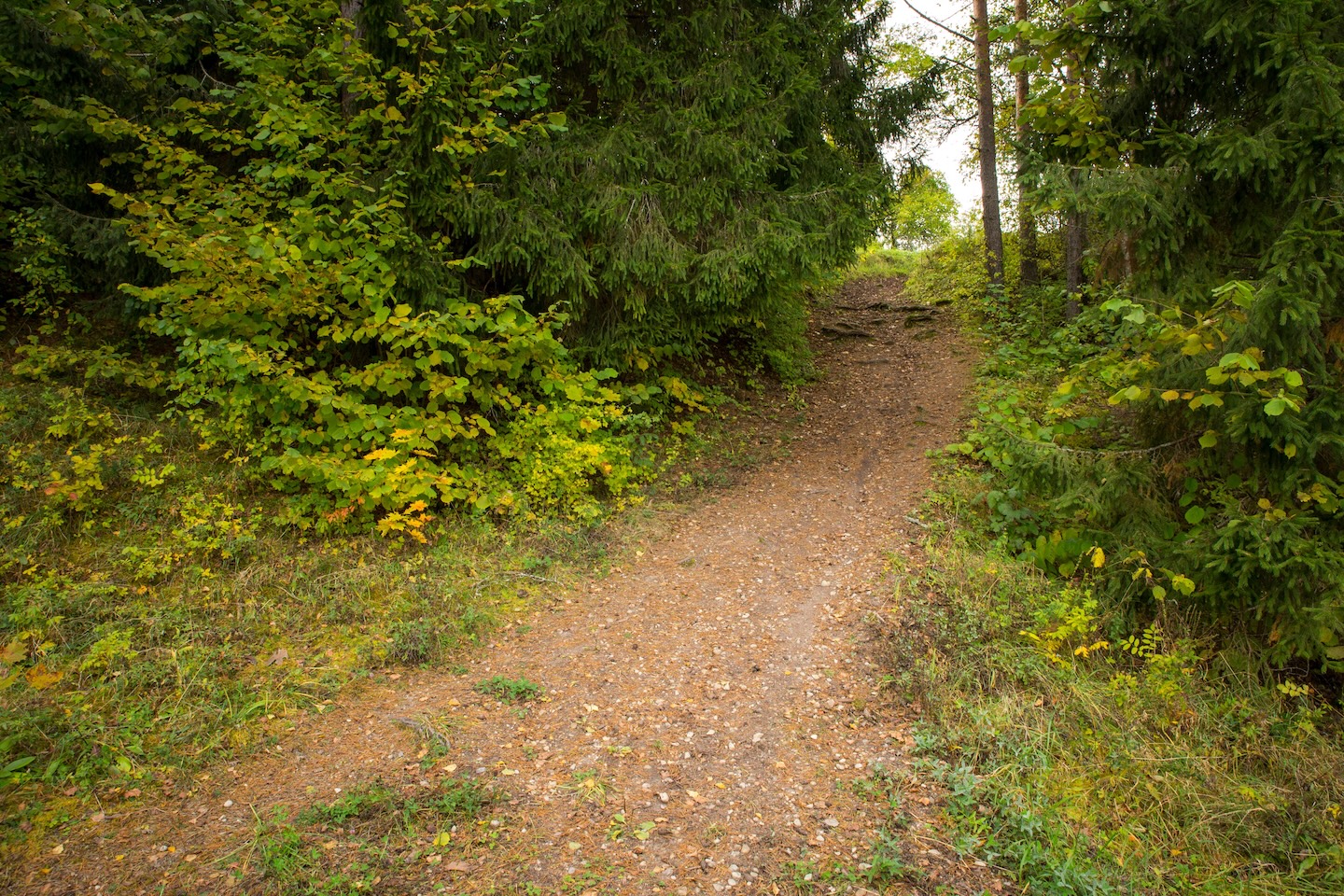 Sinialliku matkarada (1,3 km)