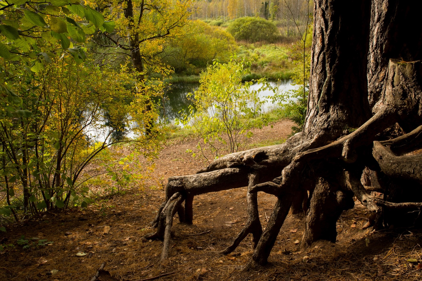 Sinialliku matkarada (1,3 km)
