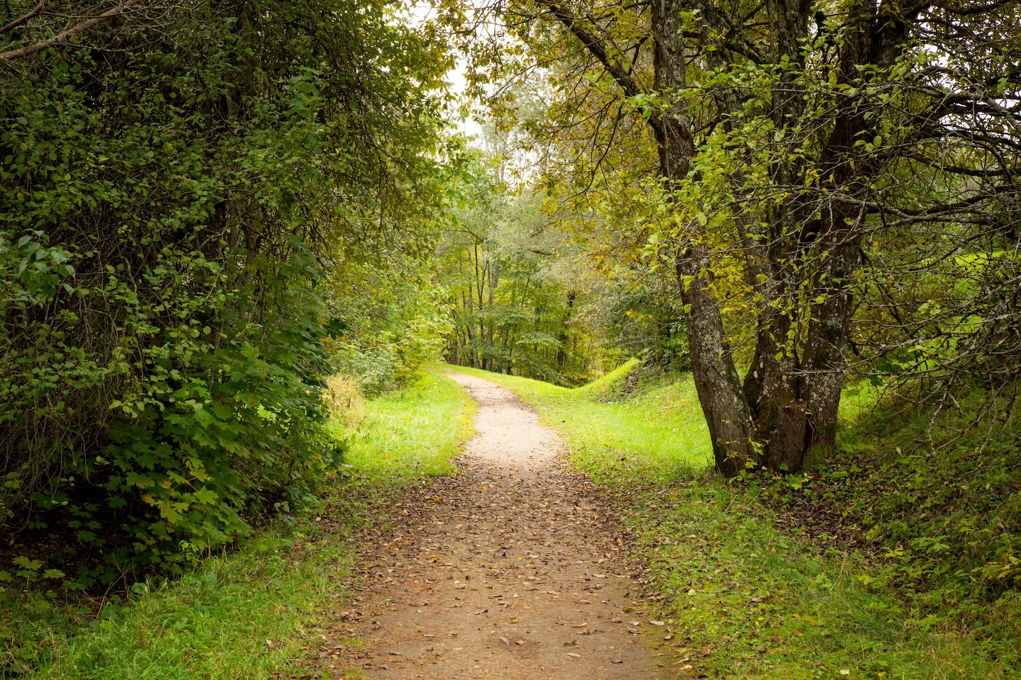 Sinialliku matkarada (1,3 km)